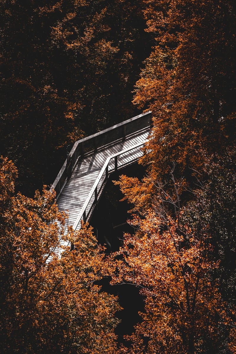 Hiking in the mountains